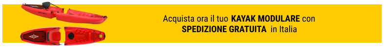 spedizione gratuita